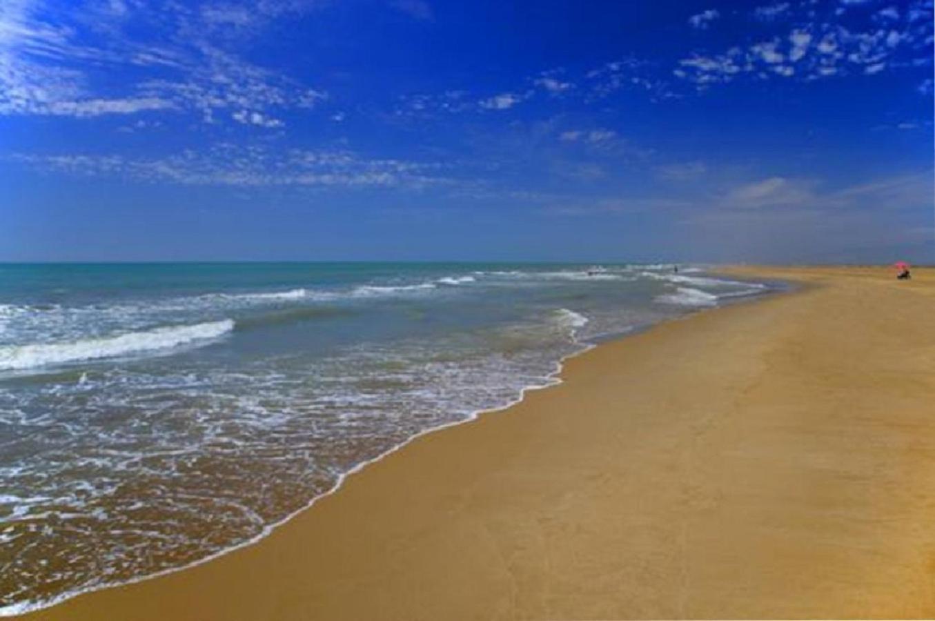 Mas Illa De Riu - Autentica Masia Del Delta Del Ebro Con Capacidad Para 20 Personas - Deltavacaciones 산트 하우메 덴베하 외부 사진