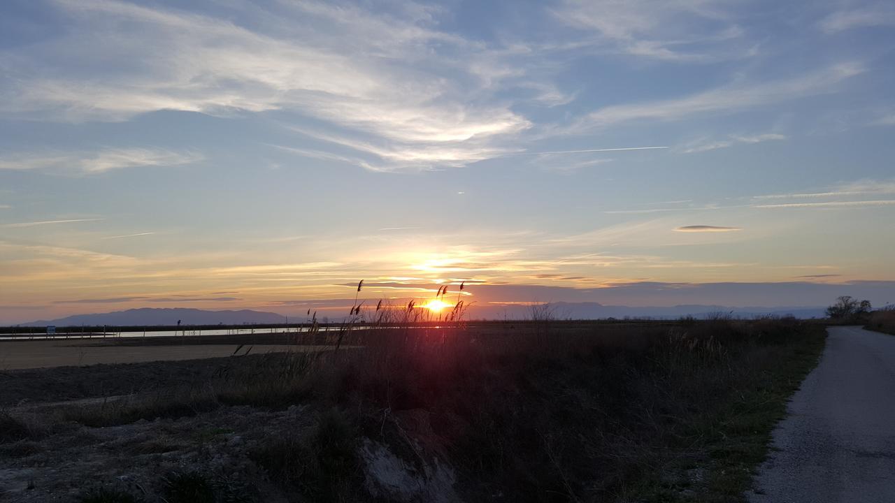 Mas Illa De Riu - Autentica Masia Del Delta Del Ebro Con Capacidad Para 20 Personas - Deltavacaciones 산트 하우메 덴베하 외부 사진