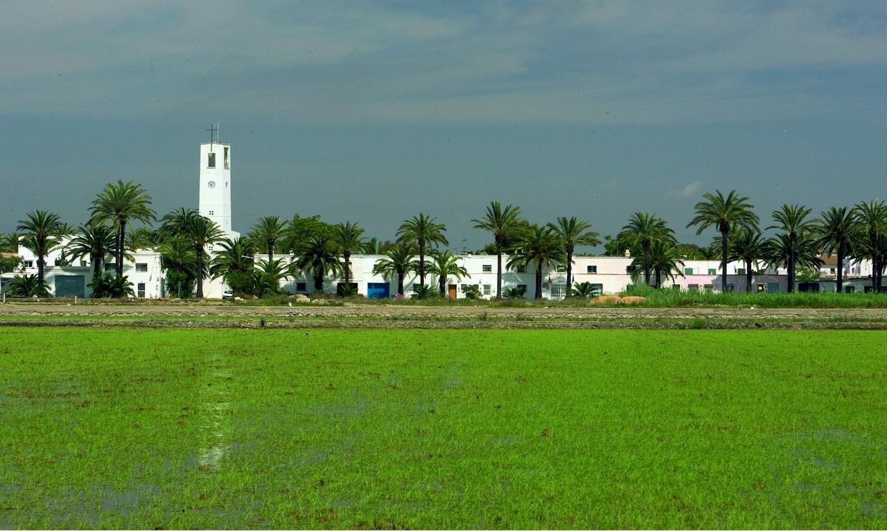 Mas Illa De Riu - Autentica Masia Del Delta Del Ebro Con Capacidad Para 20 Personas - Deltavacaciones 산트 하우메 덴베하 외부 사진