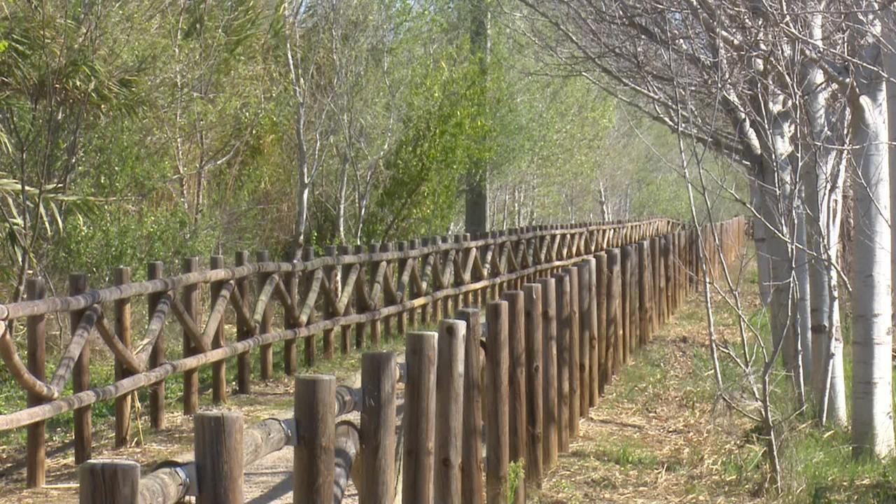 Mas Illa De Riu - Autentica Masia Del Delta Del Ebro Con Capacidad Para 20 Personas - Deltavacaciones 산트 하우메 덴베하 외부 사진